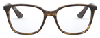 Ray-Ban 0RX7066 5577 5217