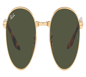 Ray-Ban  RB3691