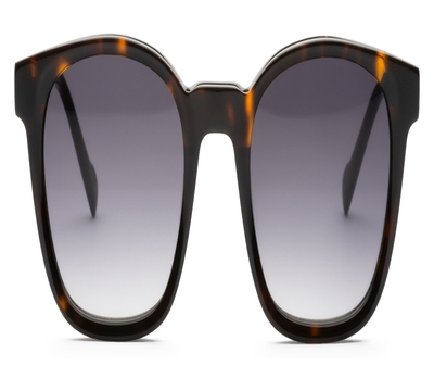 FRAIMS 13-38020